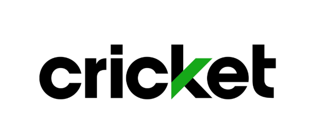 Cricket 3.png