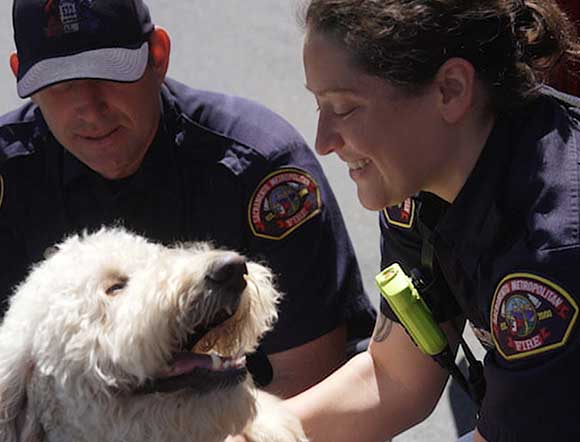 First responders petting ROG the Dog