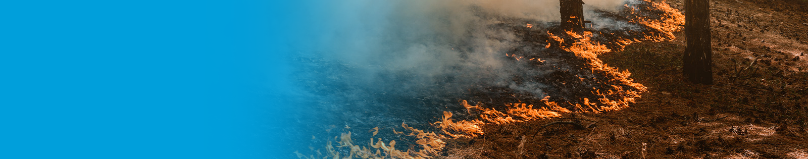 Southeast Wildfires