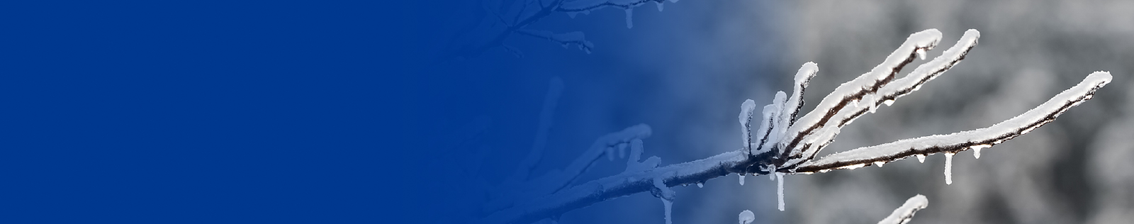 AT&T Responds to Winter Storm Fern