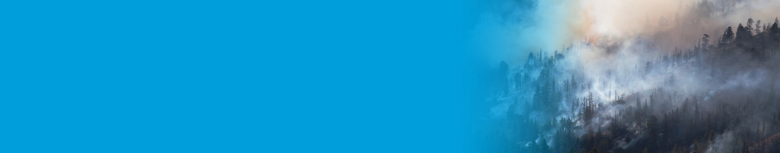 AT&T Responds to the Washington State Wildfires