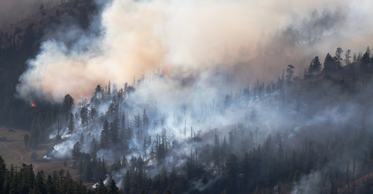 AT&T Responds to the Washington State Wildfires