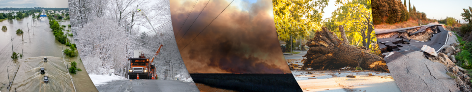 banner-image