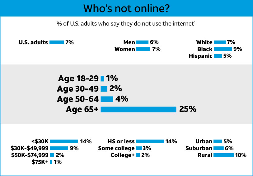 A who's not online infographic showing percentages of adults not using the internet.