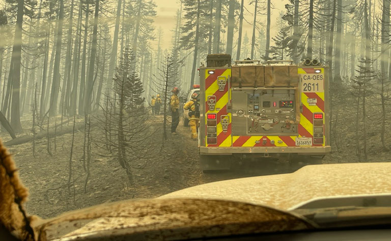 First responders in a forest inside the fire.