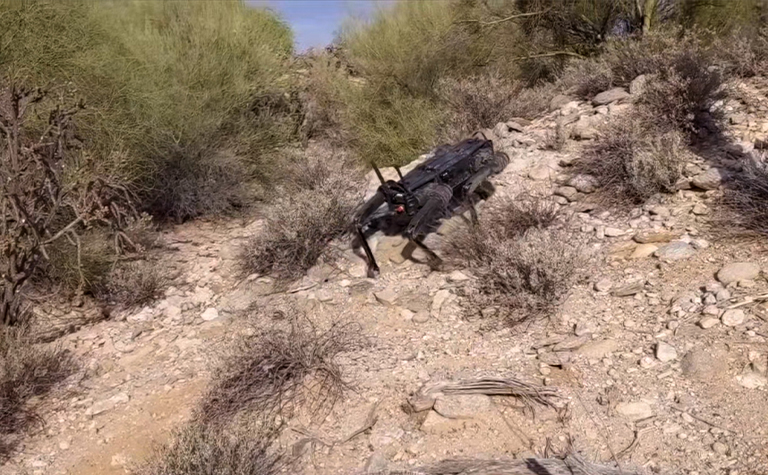 The robotic dogs sense terrain and adapt to it. They can be equipped with radar, thermal imaging, and a variety of sensors.
